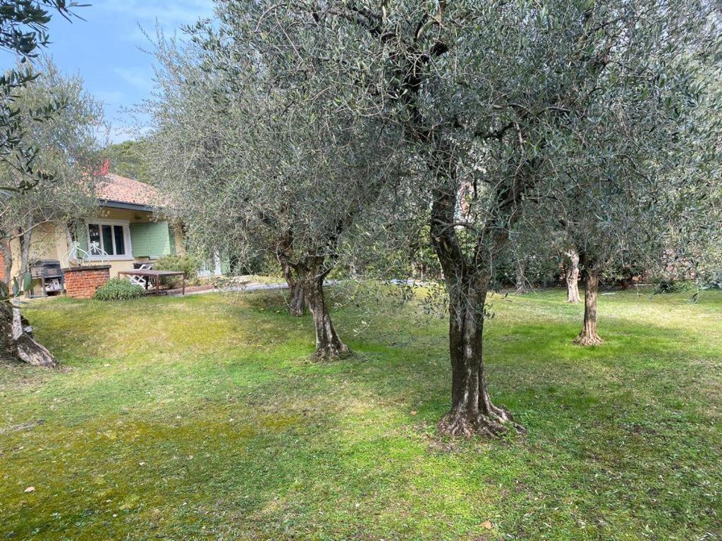 Villa Sweet Flower - With Private Pool And Garden Manerba del Garda Exterior foto