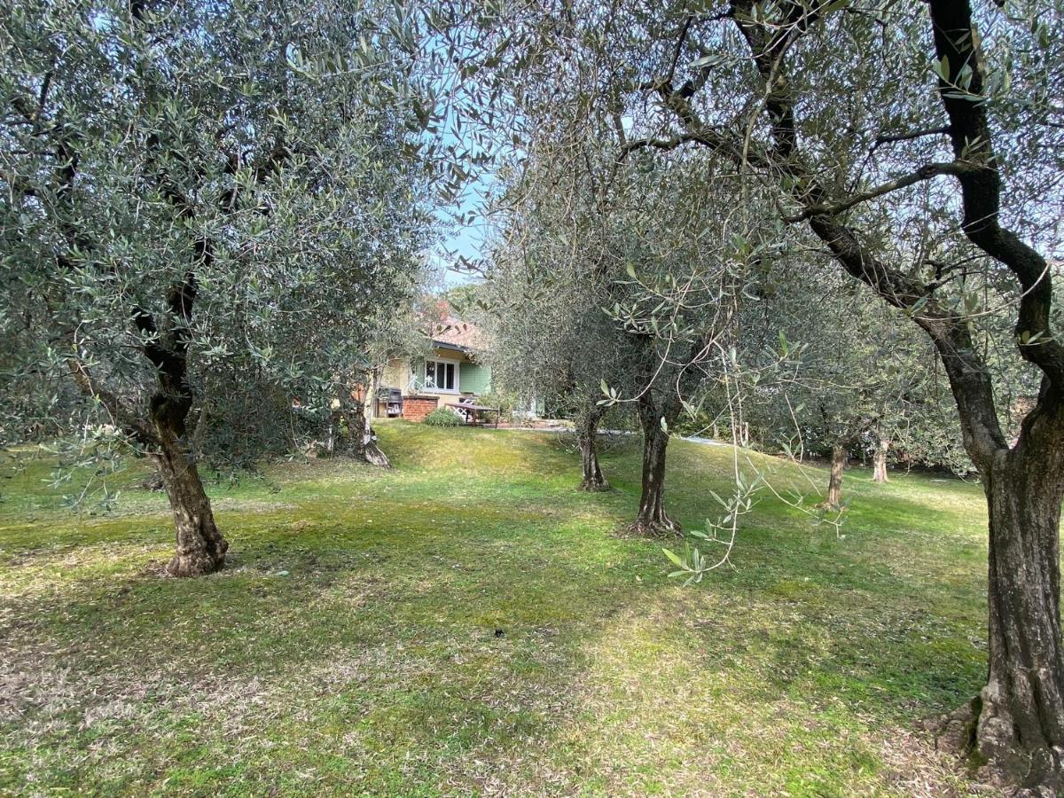 Villa Sweet Flower - With Private Pool And Garden Manerba del Garda Exterior foto
